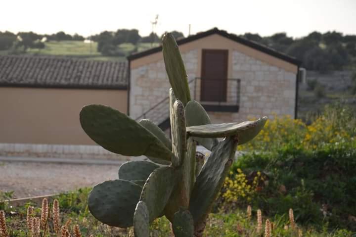 Il Carrubo Holiday House Scicli Exterior foto